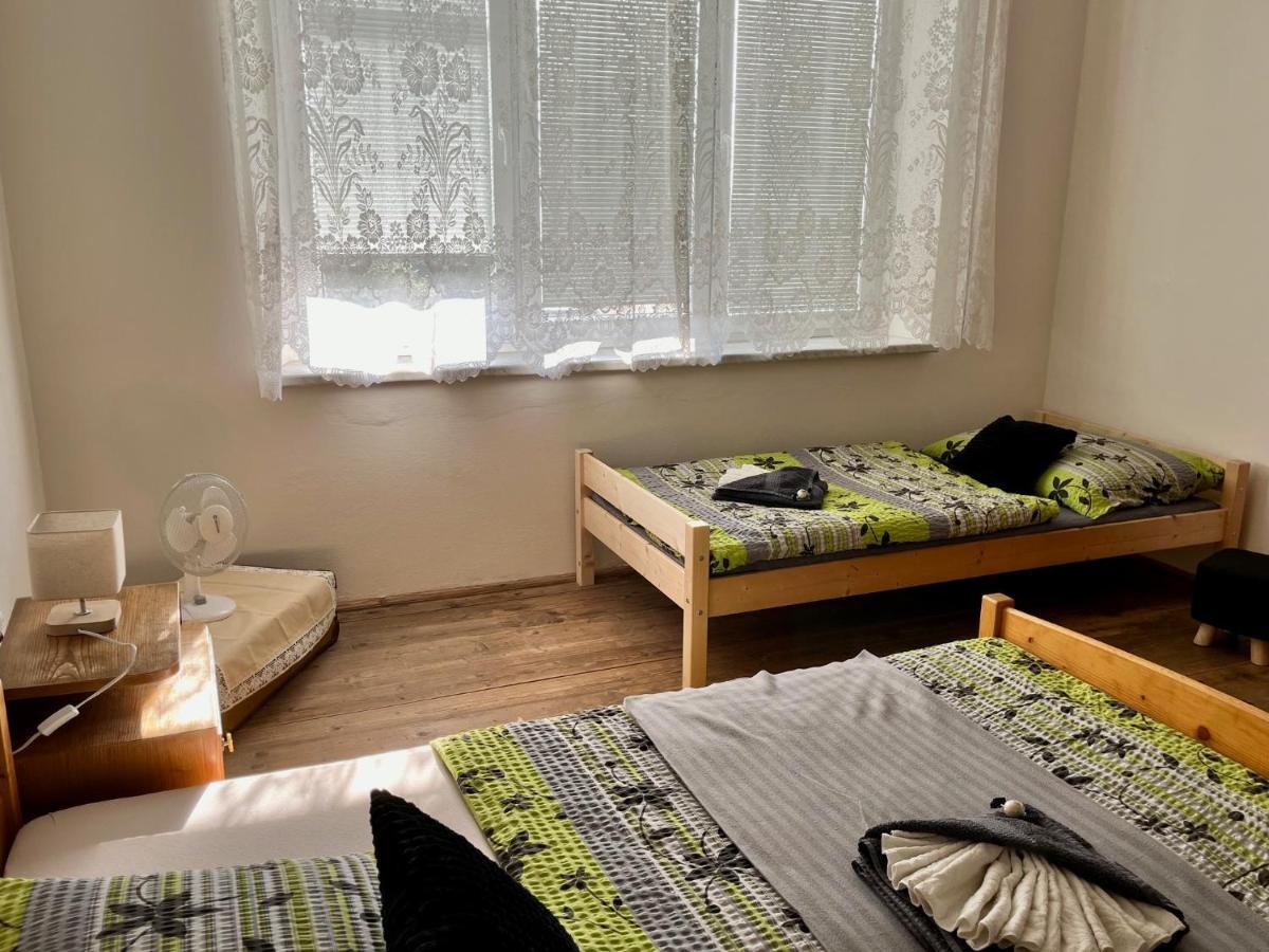 Slunny Byt S Krasnym Vyhledem Apartment Nove Mesto nad Metuji Exterior photo