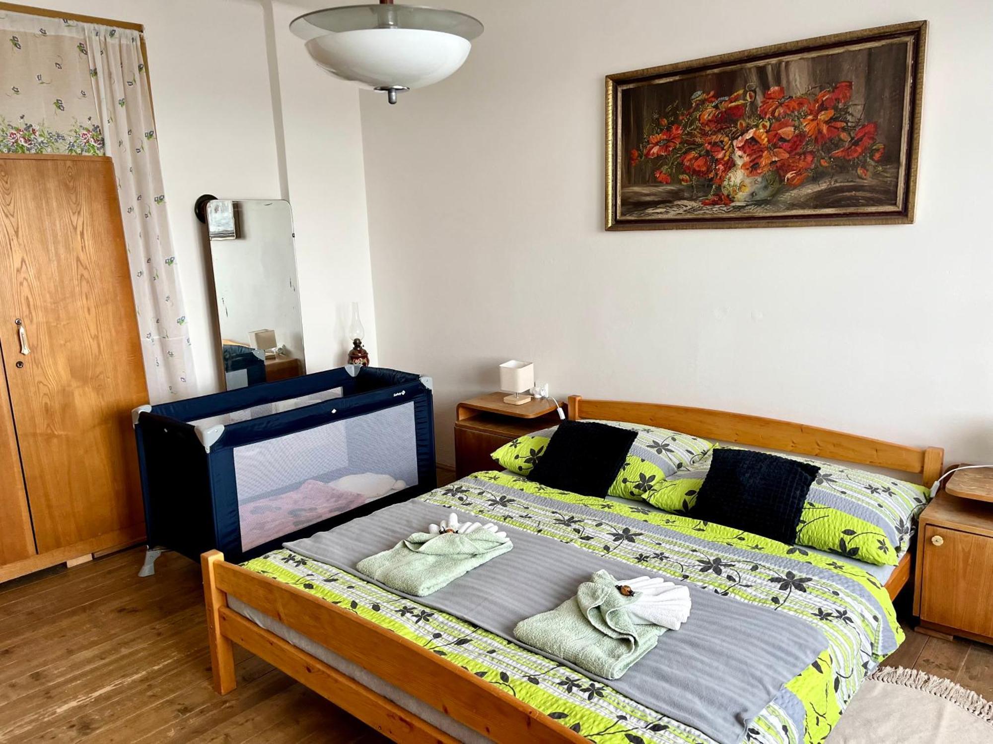 Slunny Byt S Krasnym Vyhledem Apartment Nove Mesto nad Metuji Exterior photo
